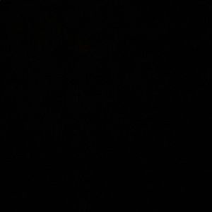 Meet your Posher, Lydia